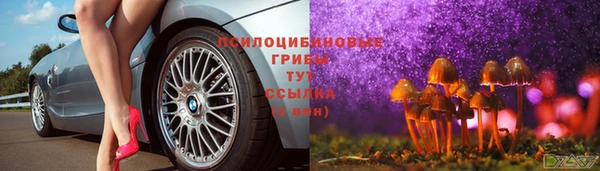 герыч Абаза