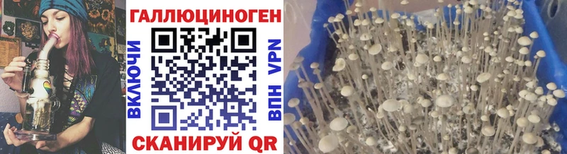 наркота  Серпухов  Псилоцибиновые грибы GOLDEN TEACHER 